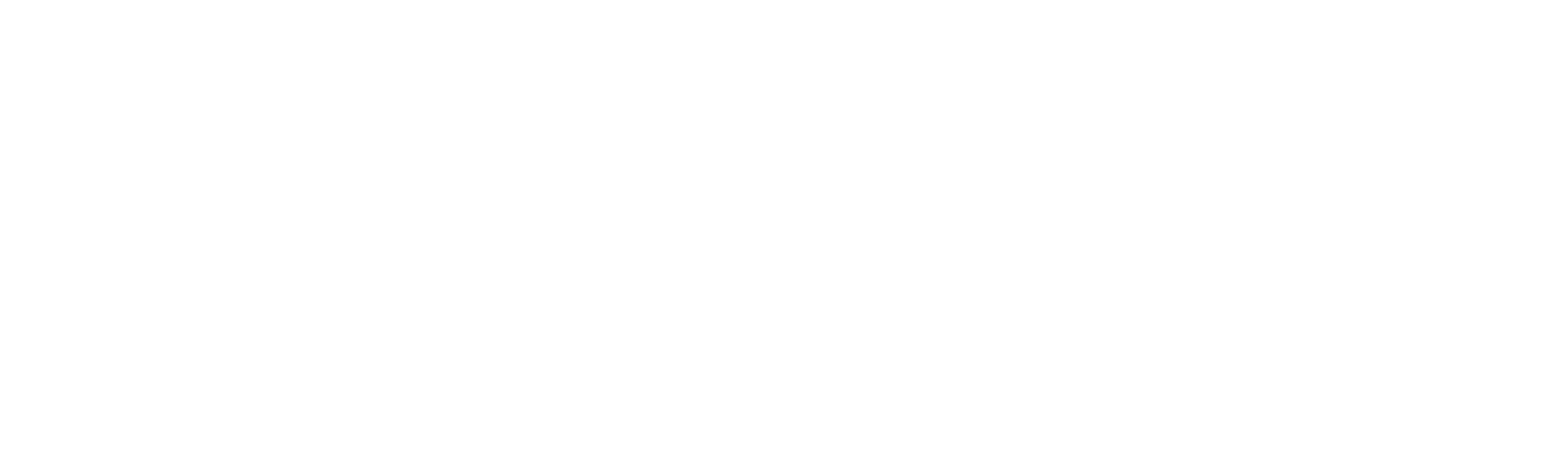 Magnavox logo